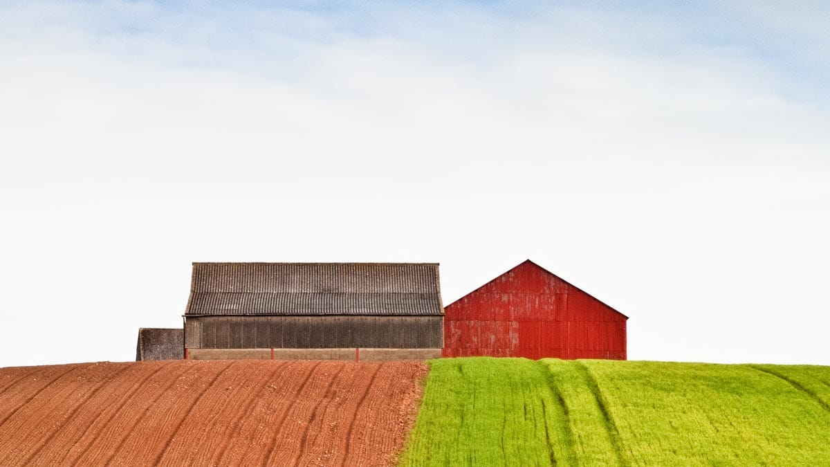 Cómo desarrollar experiencia en un nuevo campo